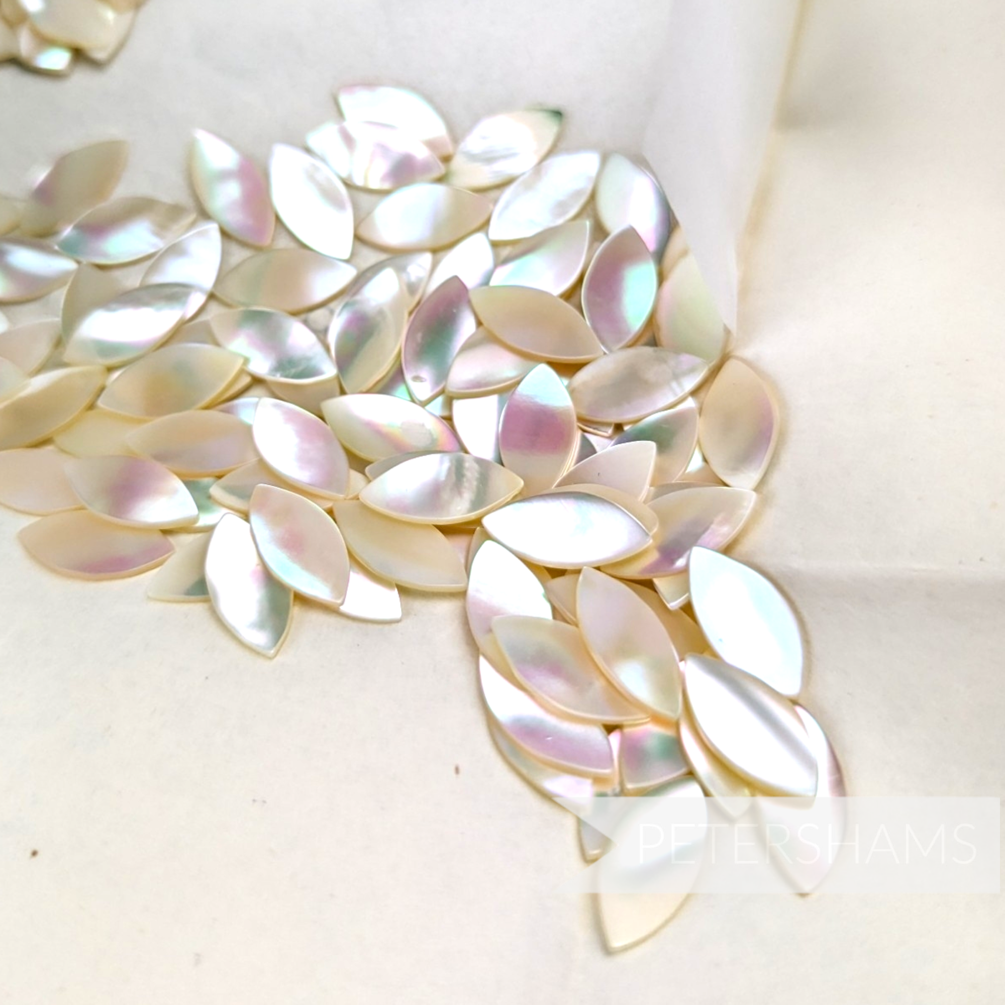 Vintage 1950/60s Mother of Pearl Superfine Simple Petal - 15x7mm