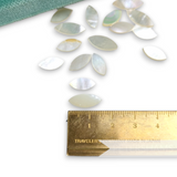 Vintage 1950/60s Mother of Pearl Thick-Cut Simple Petals - 1/2 Gross