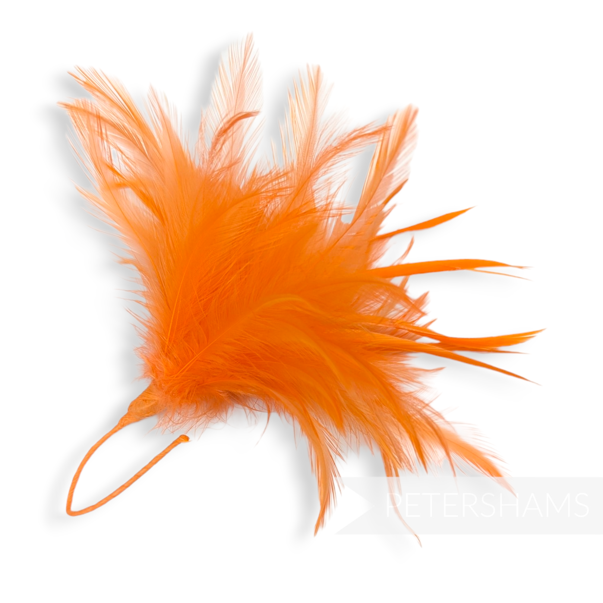 Fluffy Hackle & Goose Biot Feather Mount