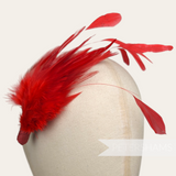 Hackle & Stripped Coque Feather Hat Mount