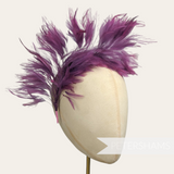 Large Stripped Hackle Wired Feather Hat Mount