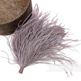 Ostrich & Stripped Coque Feather Mount