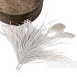 Ostrich & Stripped Coque Feather Mount