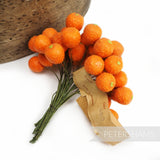 'Robert' Mini Vintage 1950/60s Wired Orange Fruits - 36 stems