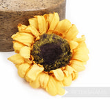 'Tonya' Silk Sunflower Millinery Flower Hat Mount