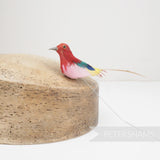 Petite Multicolour Vintage 1950s/60s Feather Bird