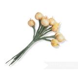 'Chelsea' Vintage Miniature Onions - 12 Stems