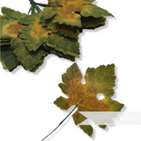 'Ottilie' Super Detailed Vintage Maple Leaf - 24 Stems