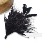 Ostrich & Stripped Coque Feather Mount