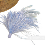 Ostrich & Stripped Coque Feather Mount