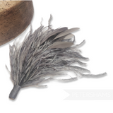 Ostrich & Stripped Coque Feather Mount