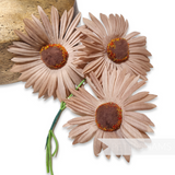 'Frida' Vintage 1950/60s Large Wired Japanese Daisy Flowers - 3 stems