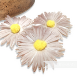 'Lucia' Vintage 1950's Double Layered 8cm Silk Daisy Heads - Set of 3