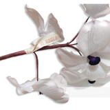 'Paisleigh' Vintage 1960s Korean Cotton Dogwood Flower Mount