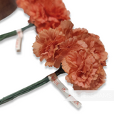 'Zaylee' Vintage 1960s Korean Mini Carnations - 12 stems