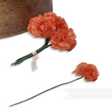 'Zaylee' Vintage 1960s Korean Mini Carnations - 12 stems