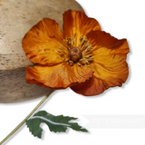 'Kimber' Vintage 1950's-80's California Poppy Millinery Hat Mount