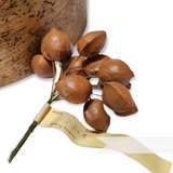 'Henry' Vintage 1940's Almond Wired Stems - 12 Stems