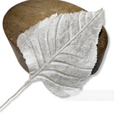 'Hugo' Extra Large Velvet Birch Leaf