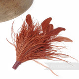 Ostrich & Stripped Coque Feather Mount