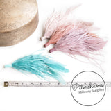 Ostrich & Stripped Coque Feather Mount