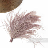 Ostrich & Stripped Coque Feather Mount