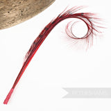 Double Burnt, Curled & Dyed Pheasant Feather Hat Mount