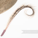 Double Burnt, Curled & Dyed Pheasant Feather Hat Mount